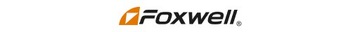 ТЕСТЕР АККУМУЛЯТОРА FOXWELL BT780 С ПРИНТЕРОМ PL