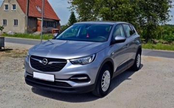 Opel 2019 Opel Grandland X Opel Grandland X 1.2 StartStop Business Elegance 1.2, zdjęcie 2