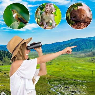 МОНОКУЛЯРНЫЙ ТЕЛЕСКОП 80 X 100 HD С АДАПТЕРОМ ДЛЯ МОБИЛЬНОГО ТЕЛЕФОНА