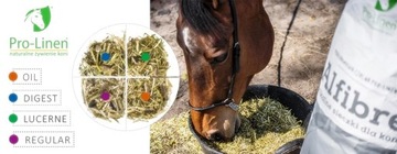 PRO-LINEN Дневной комплекс Classic Паша Мусли 20 кг