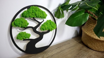 Бонсай древесный мох Премиум изображение 60 см