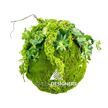Шар со мхом и растительностью 35 см для MOSS BALL