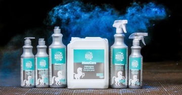 Ополаскиватель MagicBrush FruitExplosion 500мл