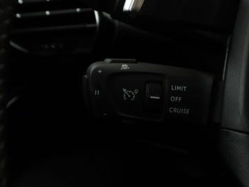  DS Automobiles DS 7 Crossback RIVOLI Panorama Navi, zdjęcie 36