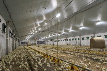Синие изоляционные панели STYRODUR XPS AGRO 50 мм