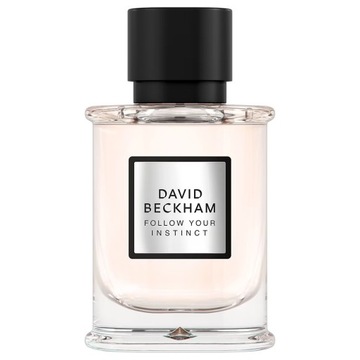 DAVID BECKHAM Follow Your Instinct EDP парфюмированная вода для мужчин 50 мл