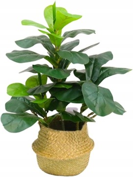 Sztuczne drzewko figowe Ficus Fiddle Licie,
