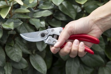 EUROFLORA ARS VS-9XZ Секаторы