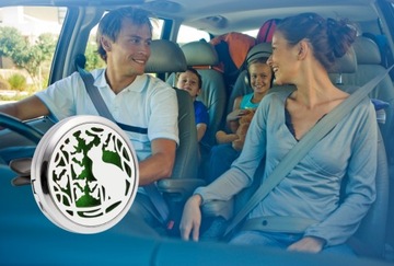 ЗДОРОВЫЙ автомобильный диффузор для масел CAT