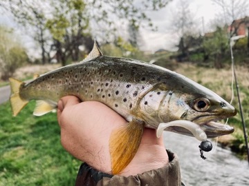 ШИТЬЕ НА ЗАКАЗ === ЗМЕЯ 4 см