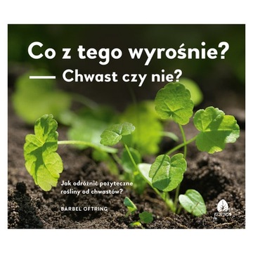 Co z tego wyrośnie? Chwast czy nie? Barbel Oftring