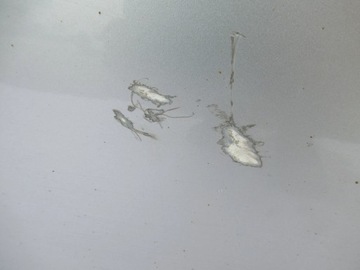 DVEŘE LEVÉ SUZUKI SWIFT MK6 3D