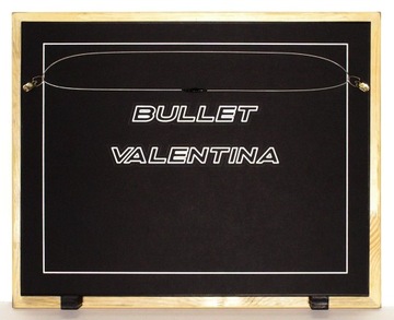 Перчатка Валентины Шевченко с автографом легенды UFC в красивой рамке ХИТ