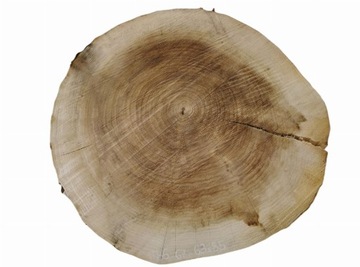 Plaster Topoli 67x63cm Tanie Blaty Drewniane