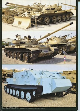 Полигон 1/2010