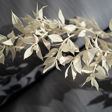 РУСКУС ОТБЕЛЕННЫЙ СУШЕНЫЙ БЕЛЫЙ РУСКУС ДЛЯ КОМПОЗИЦИИ БУКЕТА 5ШТ