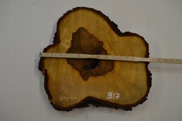 Duży Wybór Plastrów Kasztana z Czeczotą 41x39Gr4cm