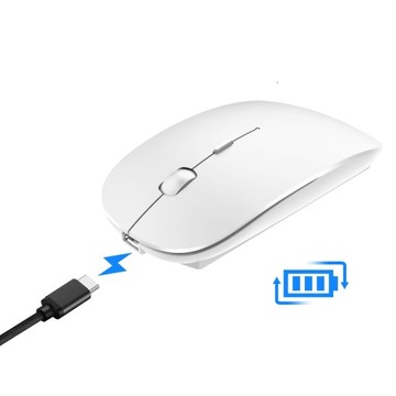 БЕСПРОВОДНАЯ USB-МЫШЬ 2,4G СЕРЕБРЯНАЯ ДЛЯ НОУТБУКА + ТИПА C