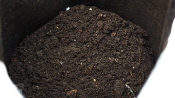 ПАЛЬМОВАЯ почва - Cykas, Chamedora BIOVITA 5L