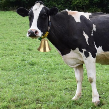 1x dzwonek wietrzny mosiężny ręczny dzwonek antyczny dzwonek