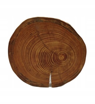 Taca drewniana obrotowa taca obrotowa MODRZEW plaster modrzewia 30-35cm