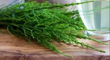 ОПРЕДЕЛИТЕЛЬ СОРНЯКОВ НА ГАЗОНЕ 1л CHWASTOX EXTRA Fiddle