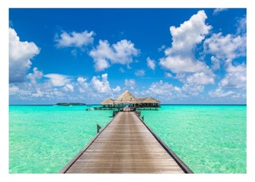 Fototapeta PLAŻA HAWAJE 3D Niebo Woda 254x184