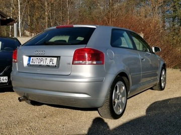 Audi A3 8L Hatchback 1.6 i 102KM 2003 Audi A3 Audi A3 II (8P) 1.6 102KM Mpi, BDB sta..., zdjęcie 8