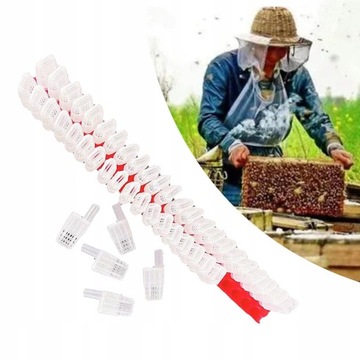 46/zestaw Izolator do transportu matek pszczelich