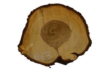 Plaster Kasztana 56x44 cm Duży Wybór Deska Patera