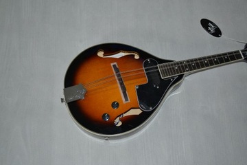 НОВАЯ ЭЛЕКТРИЧЕСКАЯ МАНДОЛИНА HB С НАСТРОЙКОЙ ДЛЯ ЛЮТНИ