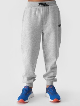 4F СПОРТИВНЫЕ БРЮКИ 4FJWMM00TTROM0811-27M-152