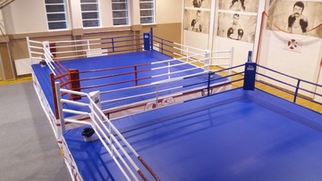 ПРОФЕССИОНАЛЬНЫЙ УГОЛОК ДЛЯ БОКСЕРСКОГО РИНГА, ЦВЕТНОЙ