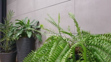 Гибкий архитектурный бетон В15 - арт