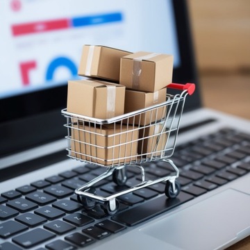 MUFKI MUFKA do wózka dziecięcego FLEX FLEX BLACK EDITION EURO-CART CIEPŁE