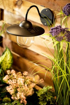 2x KINKIET SOLARNY LAMPA ELEWACYJNA LED DALI LAMPKA OGRODOWA ZEWNĘTRZNA