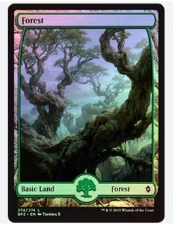 Forest (V.9) FOIL - Magic