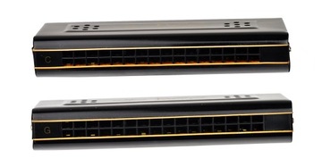 Органная гармошка BEE, двухсторонняя, в тональности C и G.