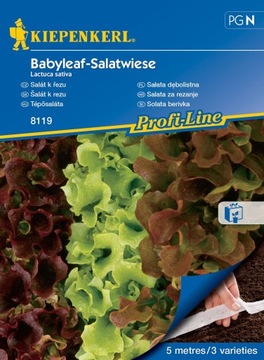 Kiepenkerl nasiona Sałata dębnolistna Babyleaf