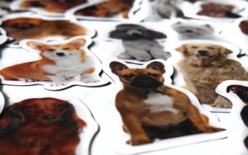 Магниты на холодильник Знакомимся с породами собак.