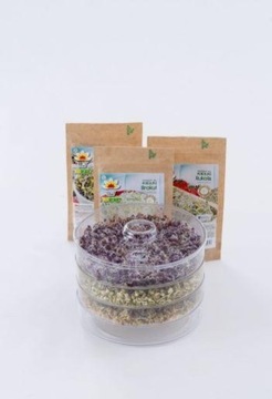 Контейнер для проращивания Контейнер для проращивания TORAF