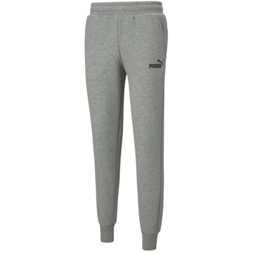 Spodnie męskie Puma ESS Logo Pants FL jasnoszare 586714 03 XL