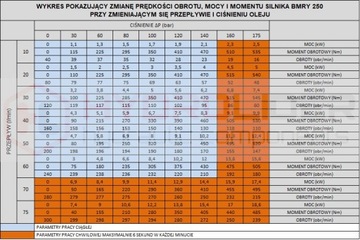 САМЫЙ МОЩНЫЙ ГИДРАВЛИЧЕСКИЙ ДВИГАТЕЛЬ BMRY 250 240 об/мин 12кВт 470Нм ВАЛ 25