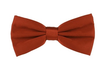 ГАЛСТУК МУЖСКОЙ КИРПИЧНО-КРАСНЫЙ, цвет КРАСНЫЙ