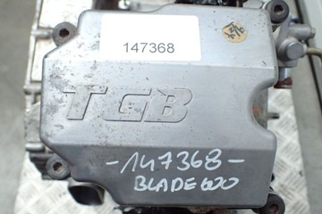 TGB Blade 550 600 Long Gwar двигатель 2019 3019км