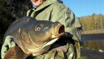 БЕСПРОВОДНОЙ ЭХОНАР ЦВЕТНОЙ РЫБНЫЙ ДИСПЛЕЙ ДЛЯ РЫБОЛОВА