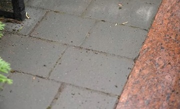 TENZI Moss and Lichen Removal 5L Средство для удаления мха и лишайника