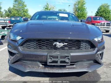 Ford Mustang VI 2023 Ford Mustang Ecoboost Premium Fastback, 2023r., 2.3L 2.3 Benzyna 310KM, zdjęcie 6