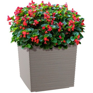 DONICZKA DONICA WKŁAD OSŁONKA SZARA 19cm