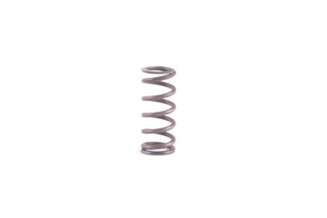 ПРУЖИНА КОРЗИНЫ СЦЕПЛЕНИЯ WSK 125 WFM M06 SHL M11